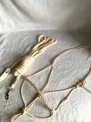 Licol éthologique crème taille cheval et sa longe de 3m