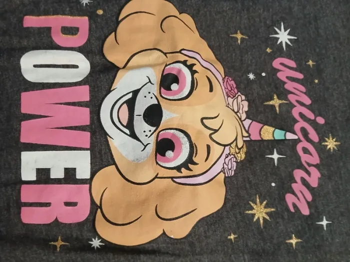 Lot pat patrouille fille - photo numéro 9