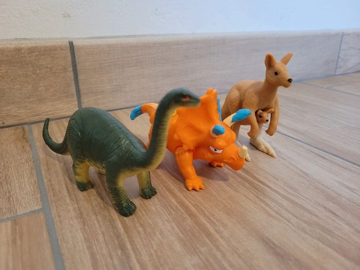 Animaux - photo numéro 3