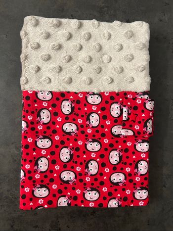 Protège carnet de santé coccinelle
