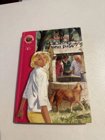 Les Cinq et le secret du vieux puits