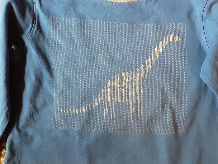 Tshirt manches longues Dinosaure 6 ans - photo numéro 2