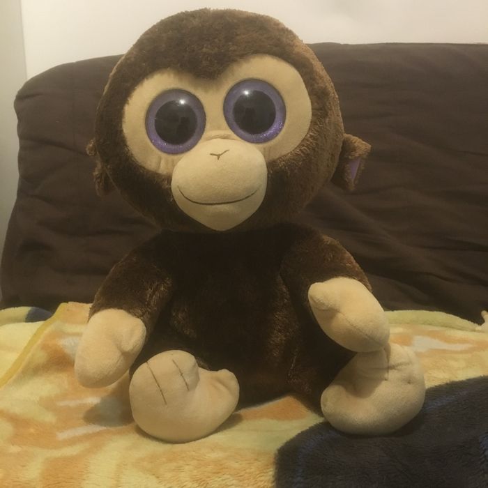 Peluche ty