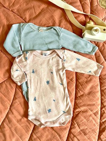 Lot de deux bodies petit bateau 3 mois