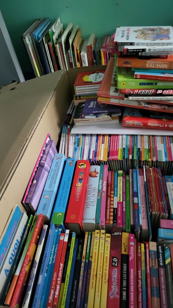 Livres jeunesses je vide les etageres bébé et jeunesses pour avoir de la place, à vos recherches - photo numéro 3