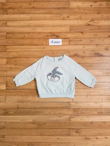 Pull sweat sweat-shirt Pampan Disney bébé fille ou garçon mixte 18 mois
