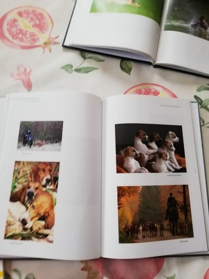 2 livres de chasse - photo numéro 7