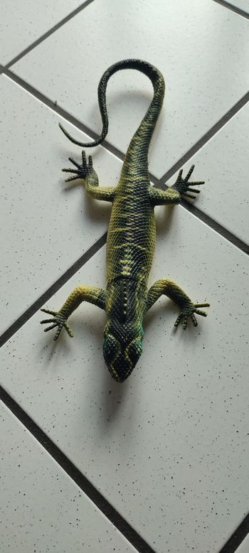 Grand lézard