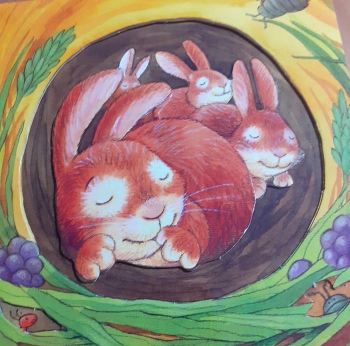 Joli livre 1er âge avec des reliefs "petit lapin" - photo numéro 3