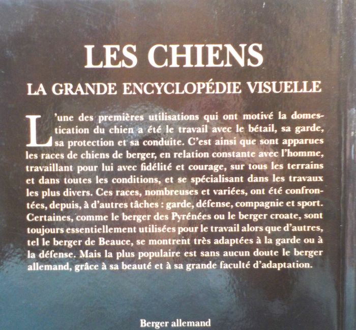 CHIENS DE BERGER Les chiens La grande encyclopédie visuelle - photo numéro 2