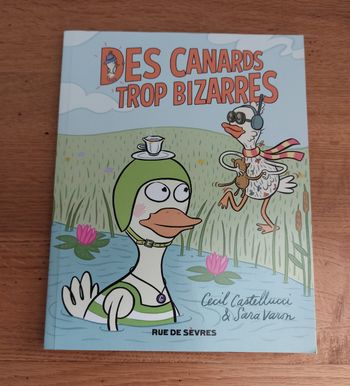 Des canards trop bizarres - l'école des loisirs