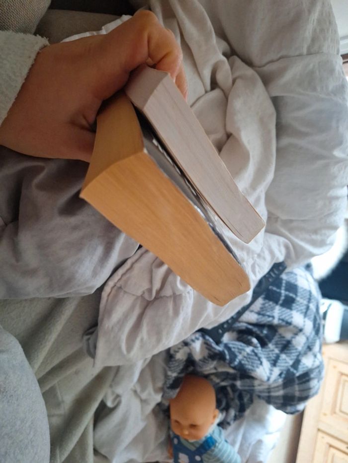 Lot 2 livres policier - photo numéro 5