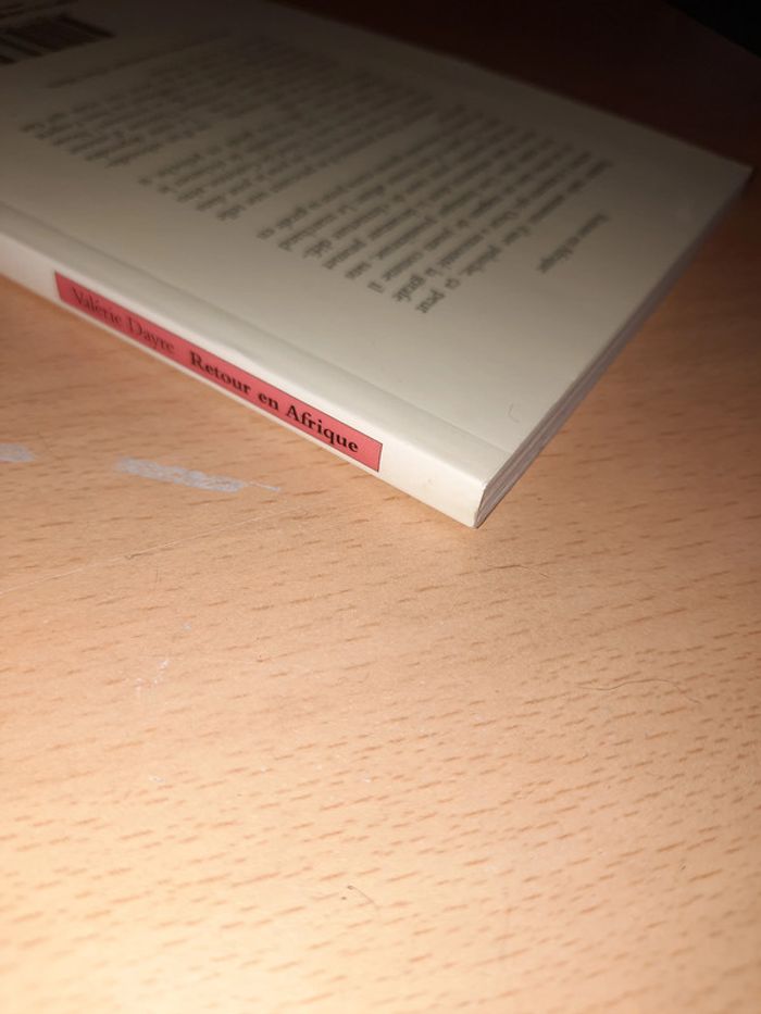 Valérie Dayre : Retour en Afrique - photo numéro 3