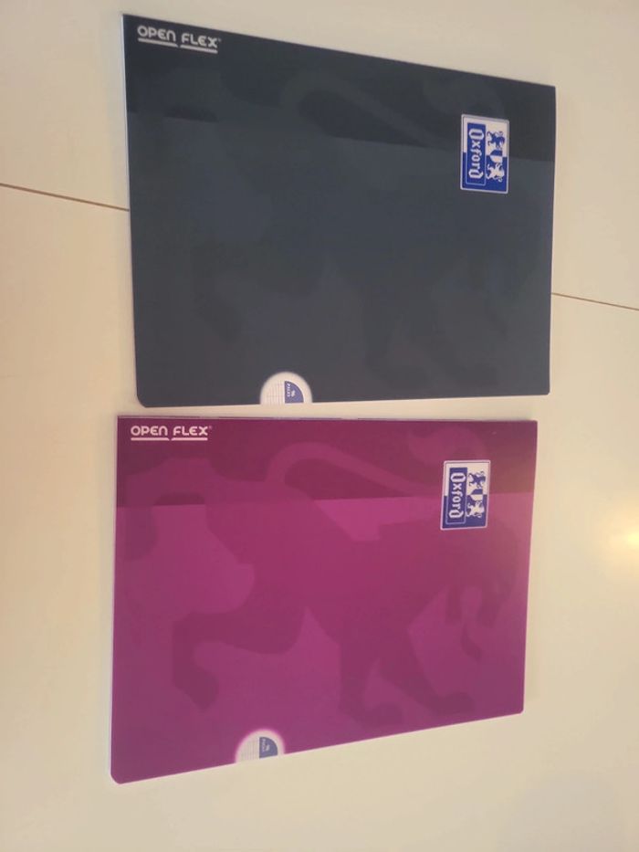 2 cahiers oxford open flex 24x32