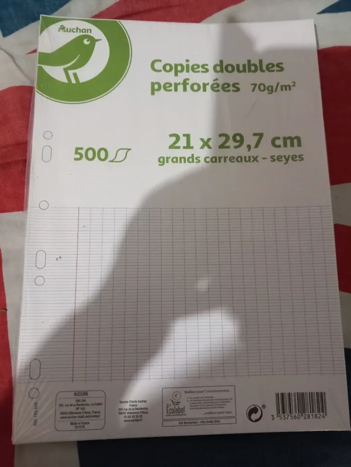 Copies doubles perforées 21x29,7 grands carreaux