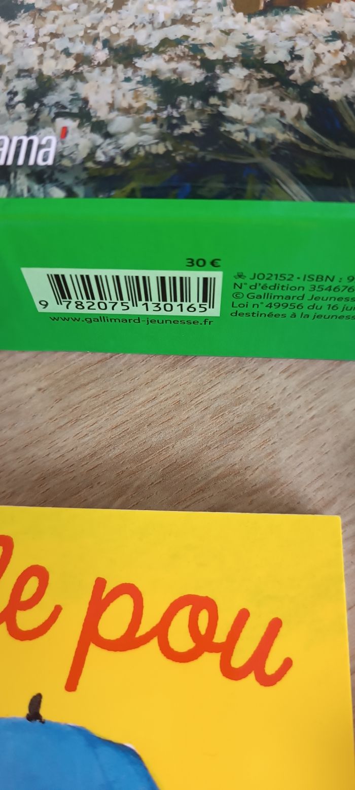 Le jardin des drôles de petites bêtes - photo numéro 5