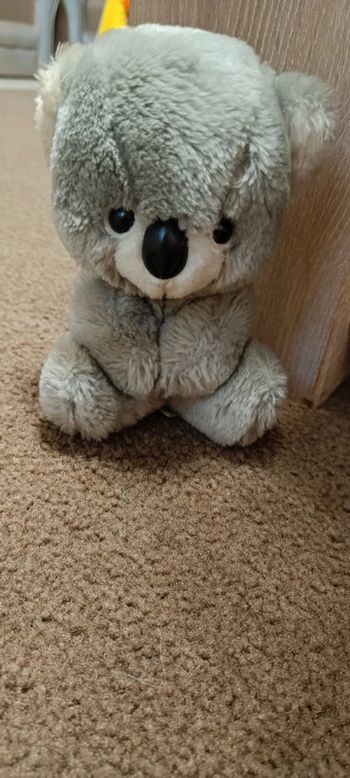 Peluche koala ajena