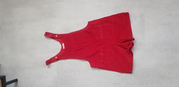 salopette du pareil au même