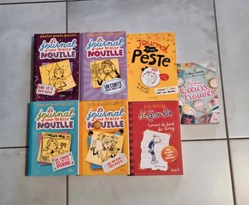 Lot de livres jeunes ados