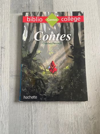 Livre Contes Charles Perrault