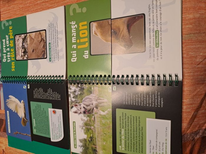 Lot 2 défis nature - photo numéro 3