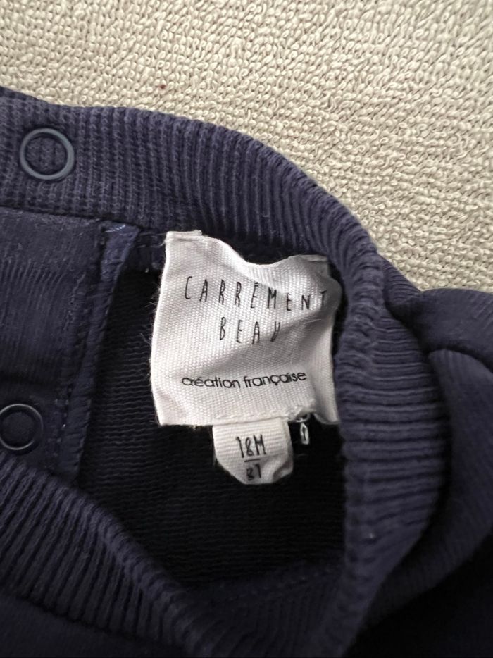 Pull Carrément beau taille 18 mois - photo numéro 3