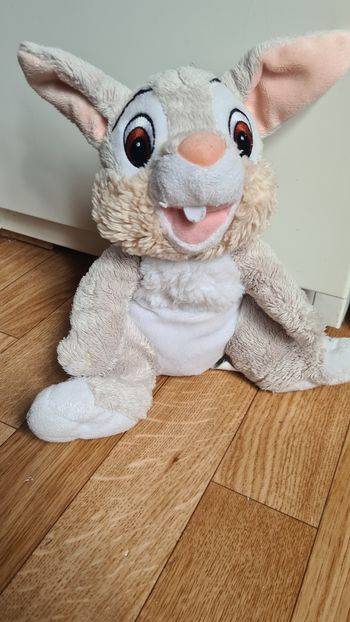 Panpan