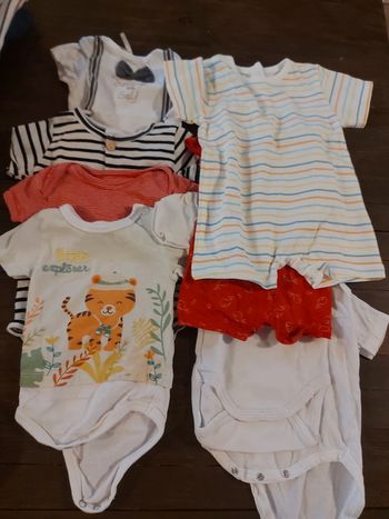 Lot 8 bodies manche courte 3 mois