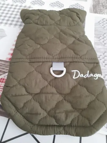 manteau chien