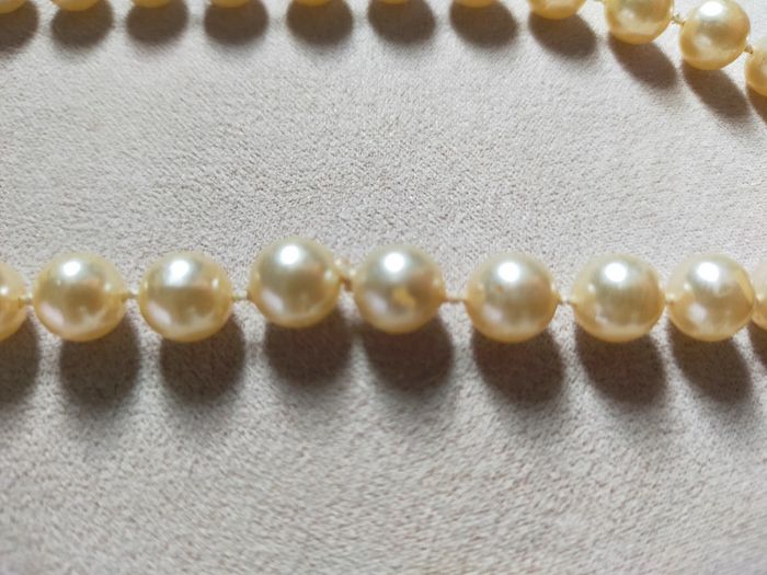 Collier perles nacrées imitation – vintage classique 40 cm – fermoir rond - photo numéro 6