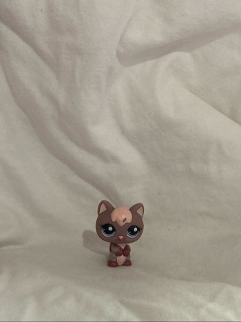 lps chaton