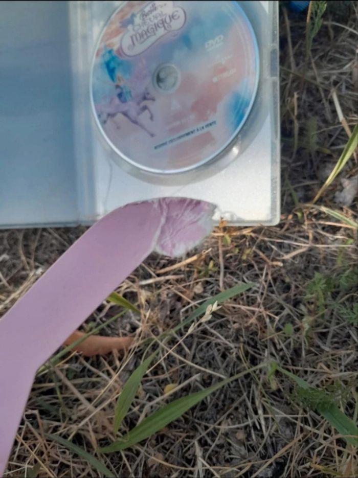 DVD enfant - photo numéro 3