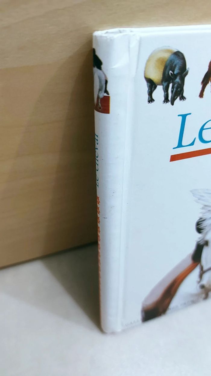 📚 Livre mes premières découvertes : Le cheval - photo numéro 7