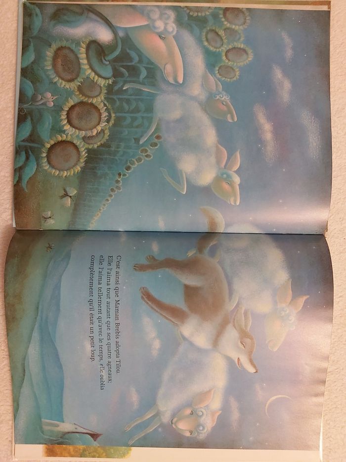 Grand livre pour enfant. Petit frère des loups. - photo numéro 3