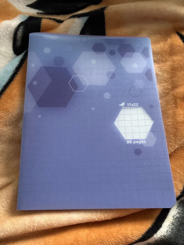 Lot cahier - photo numéro 2