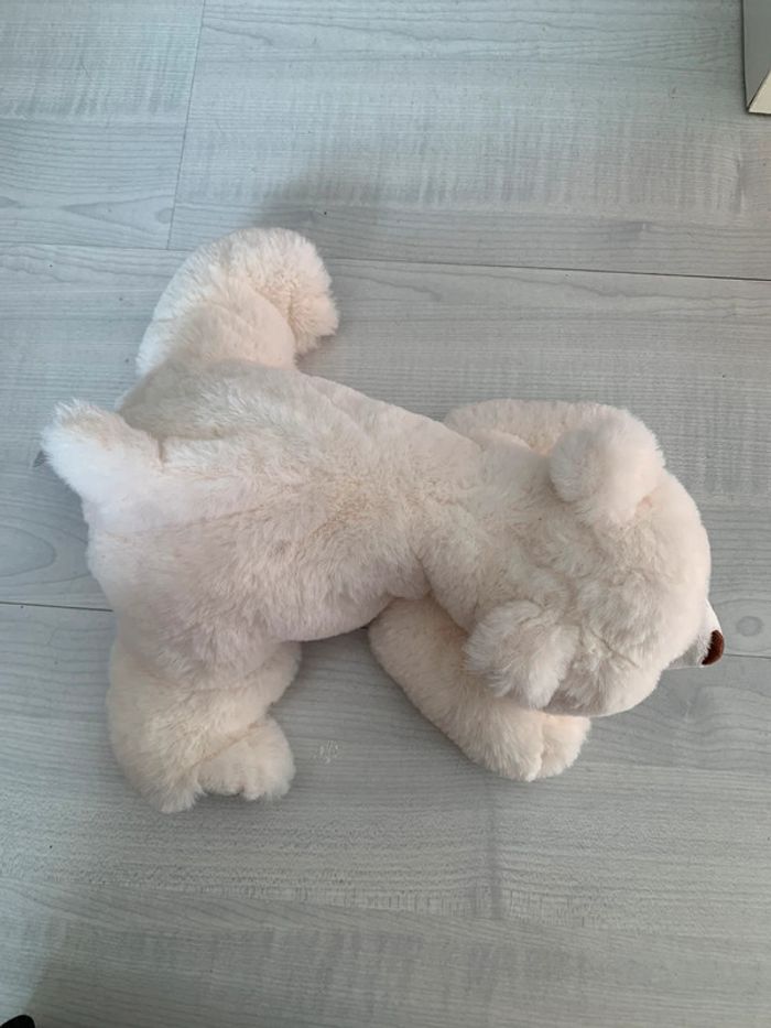 Ours  blanc en peluche - photo numéro 2