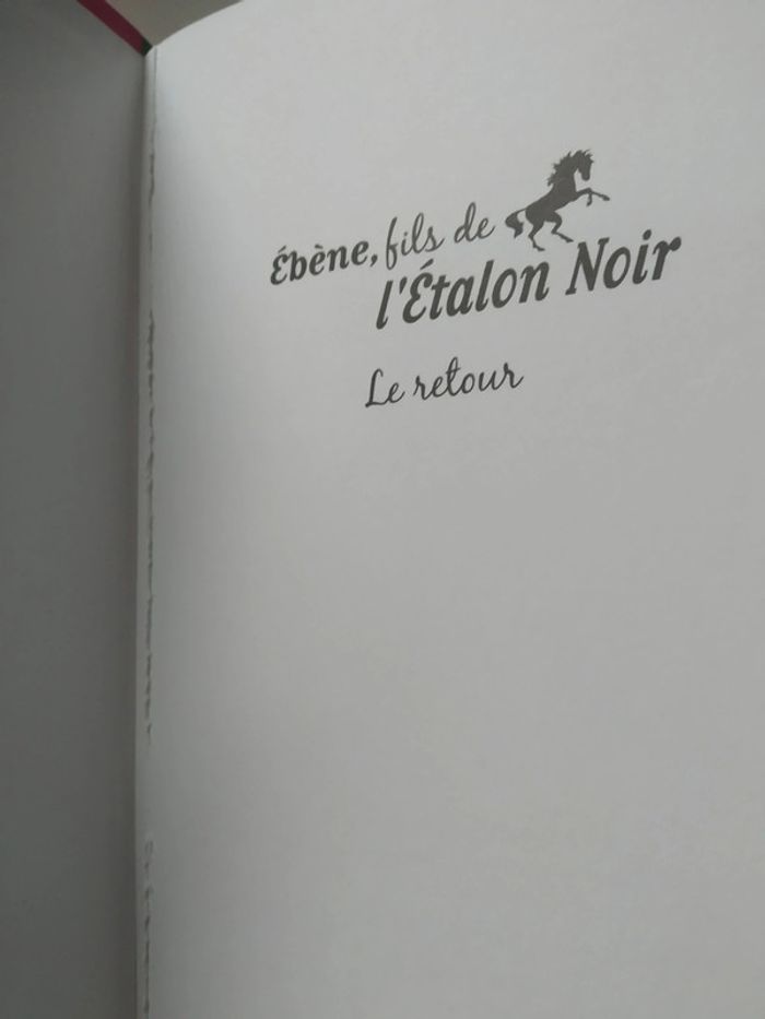 Ebéne fils de l'étalon noir tome 3 - photo numéro 3