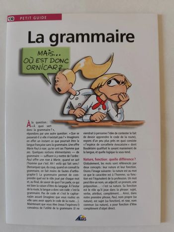 Le petit guide : la grammaire