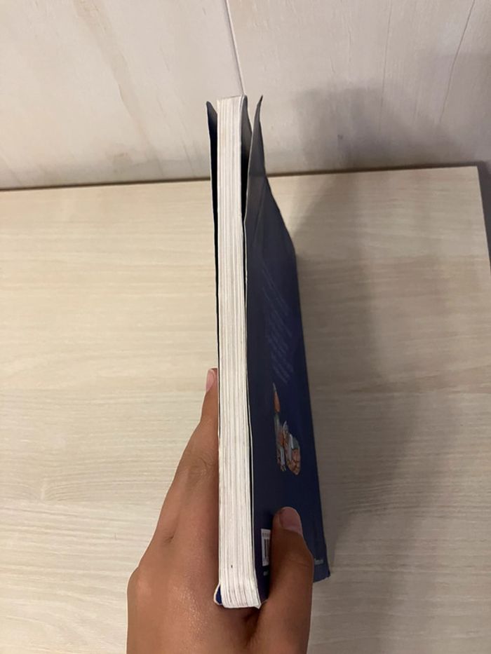 Livre enfant "Petites histoires du Père Castor pour endormir les petits – Édition Père Castor - photo numéro 4