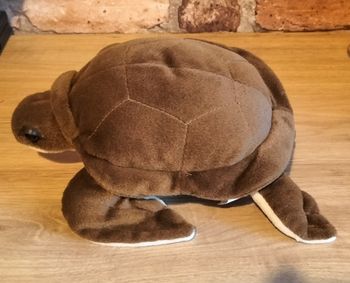 Superbe peluche tortue