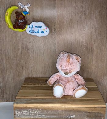 TEX113 doudou renard 🦊 tex