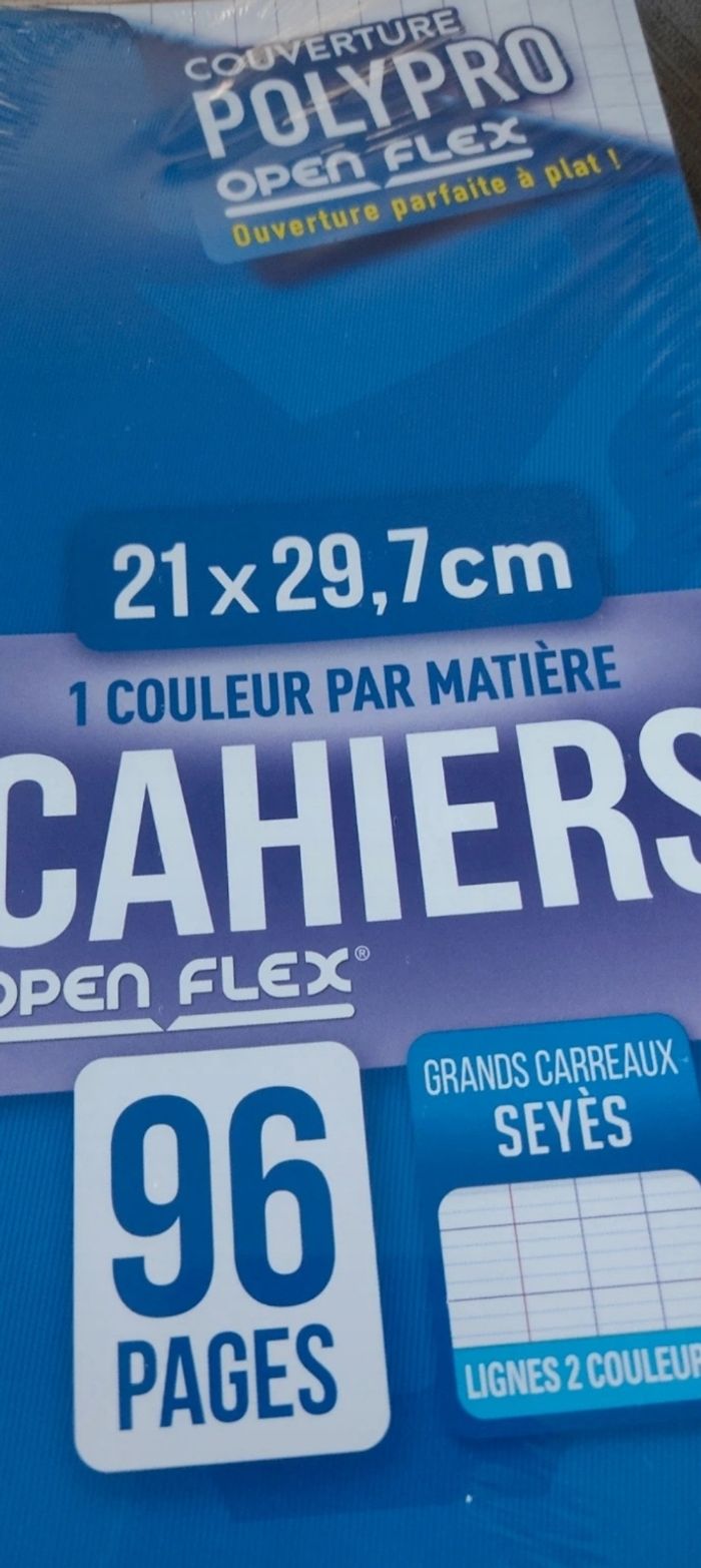Lot 4 cahiers Oxford - photo numéro 3