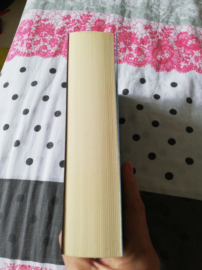 Facteur risque - photo numéro 4