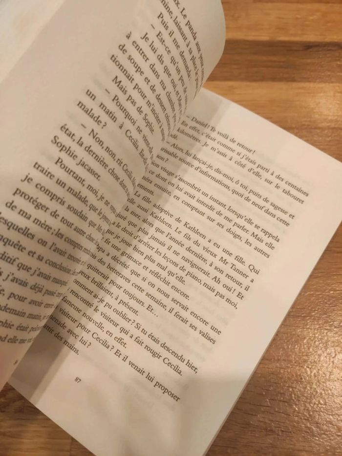 Le passage du diable de Anne Fine - photo numéro 4