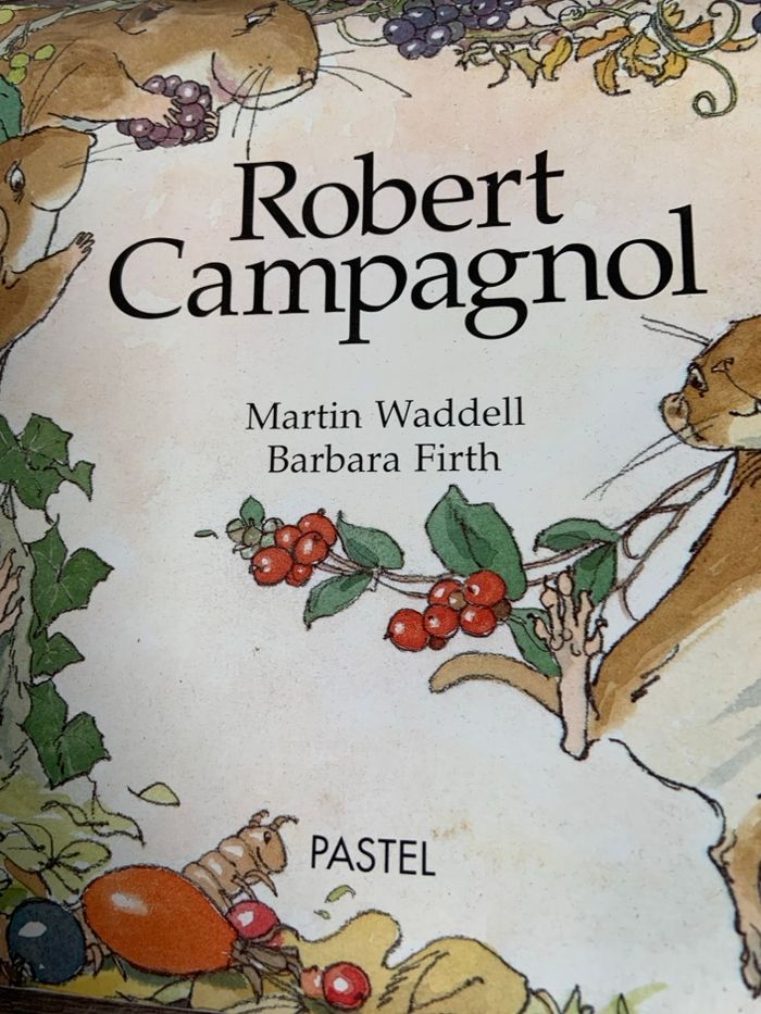 Livre pour enfants Robert Campagnol - photo numéro 3