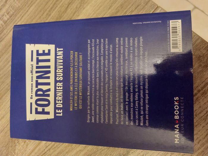 Romans Fortnite - photo numéro 2