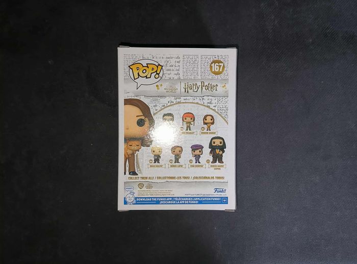 Figurine Funko Pop / Hermione & Pattenrond 167 / Harry Potter - photo numéro 2