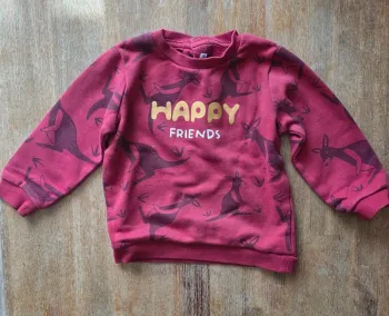 Pull très bon état 23 mois