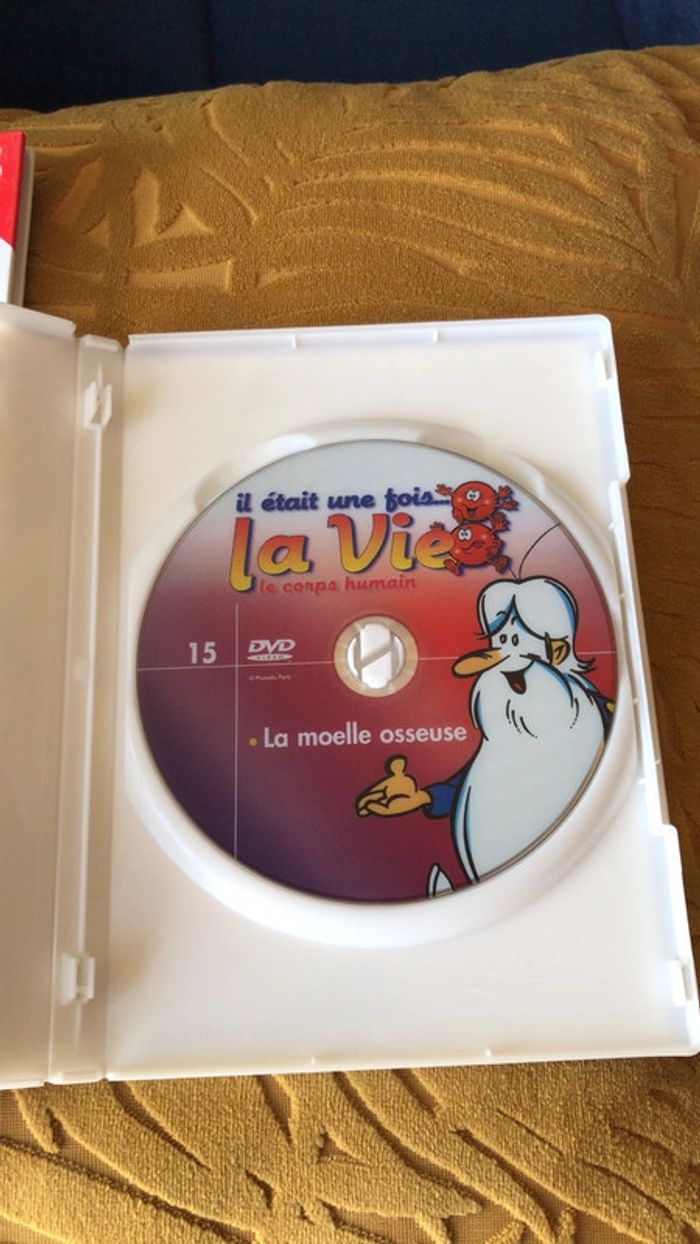 Collection il était une fois la vie le corps humain - photo numéro 5