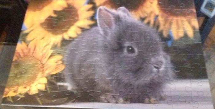 Puzzle vintage petit lapin 🐰 et tournesols 🌻 100 pièces Playland - photo numéro 3